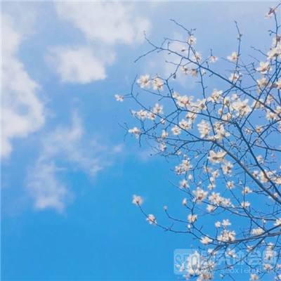 世界3神殿契约内购破解版下载